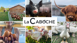 PRÉCOMMANDE