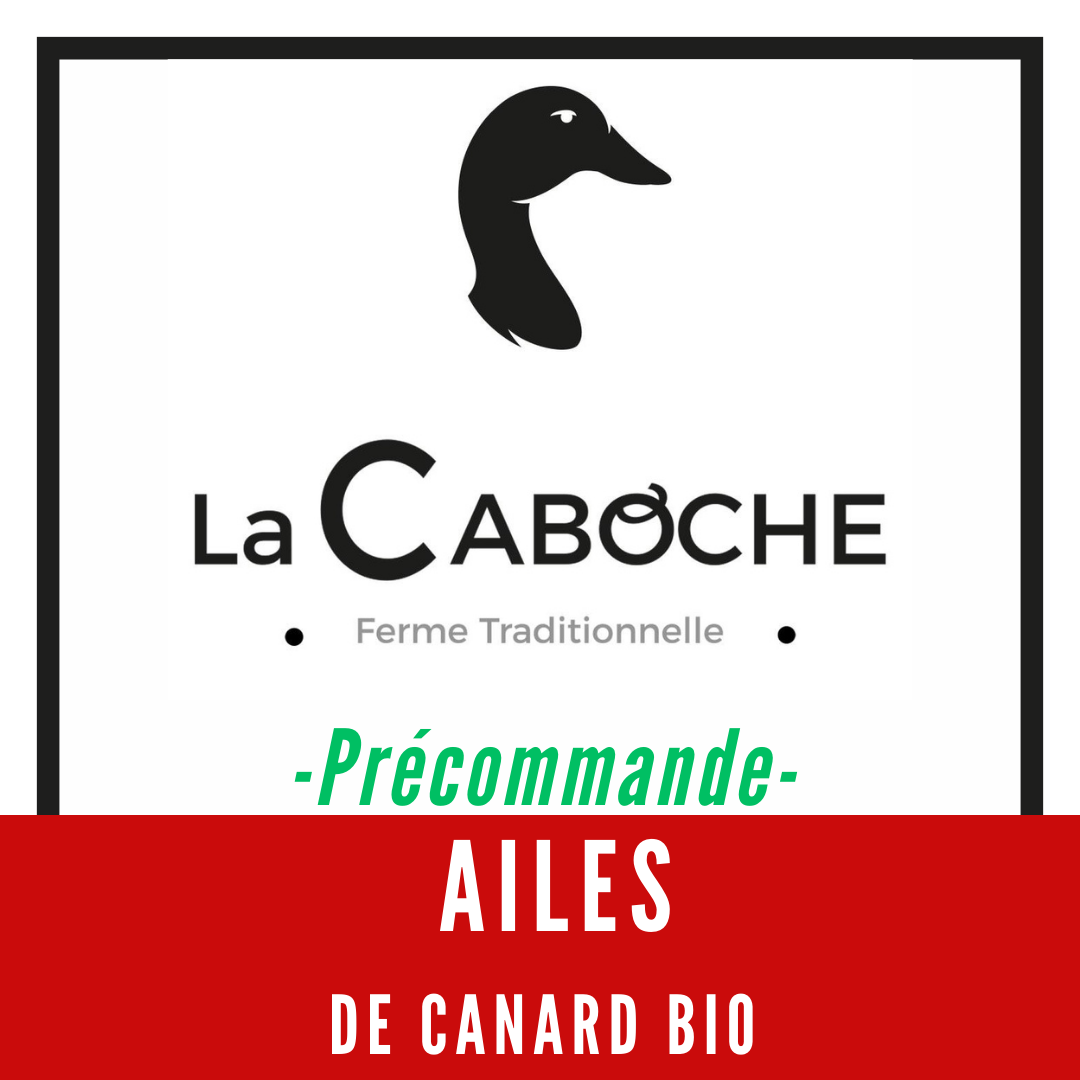 précommande ailes canard