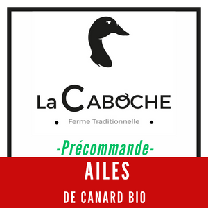 précommande ailes canard