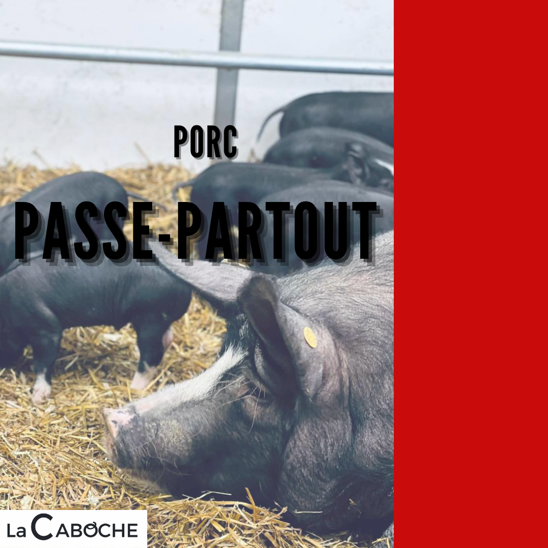 Porc PASSE-PARTOUT